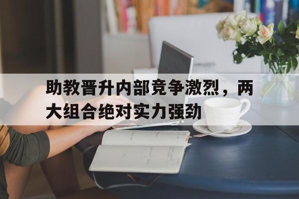 助教晋升内部竞争激烈，两大组合绝对实力强劲