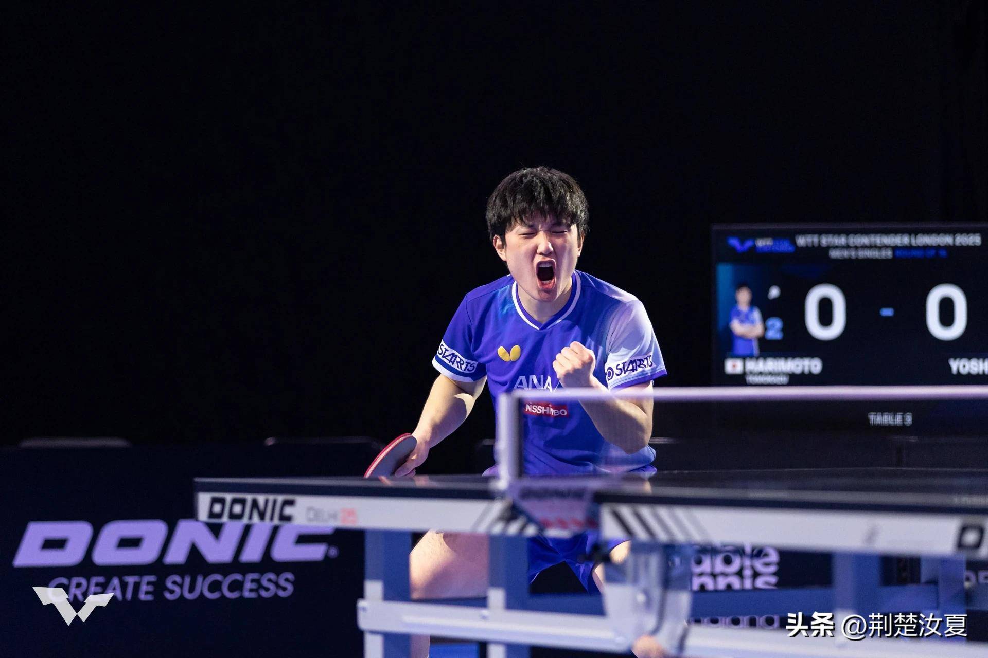 波兰队翻盘日本队,张本智和点燃赛场 波兰队翻盘日本队,张本智和点燃赛场